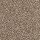Mohawk Carpet: Dynamic Quality I Filigree